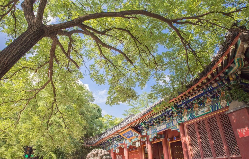 The traditional West Gate of Peking University in Beijing, China